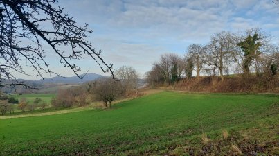 Abschlußwanderung2023