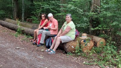 Bad Rappenau-Burg Guttenberg
