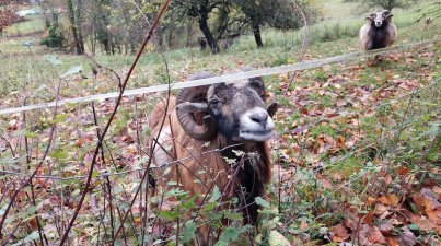 Herbstwanderung2023