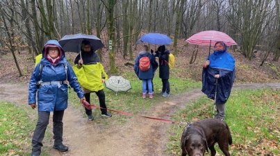 Melibokus-Darsberghütte-Hobokenhütte-Alsbacher Schloss