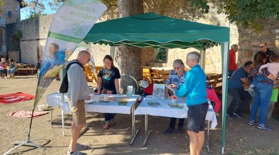 Rauf-auf-die-Burg (Starkenburg)
