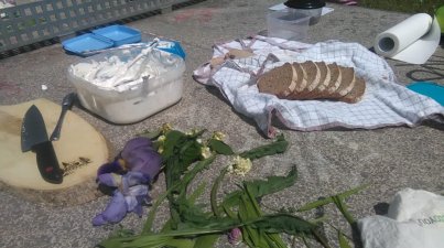 Unterwegs als Kräuterhexen