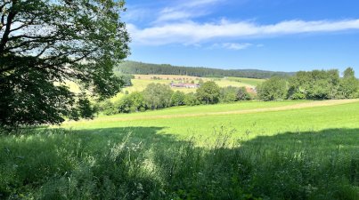 Wanderung zur "Dicken Eiche"