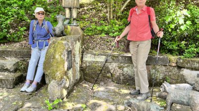 Wanderung zur "Dicken Eiche"