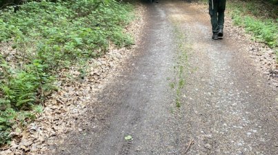 Wanderung zur Starkenburg