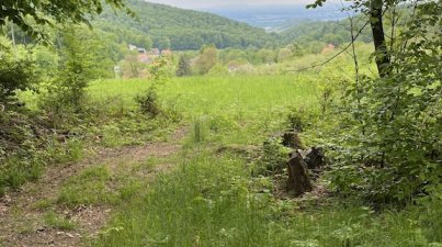 Wanderung zur Starkenburg