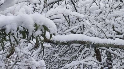 Winterwanderung
