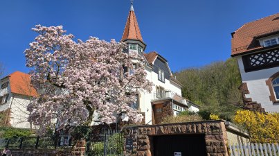 Auf-den-Spuren-von-Metzendorf