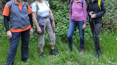Frühwanderung