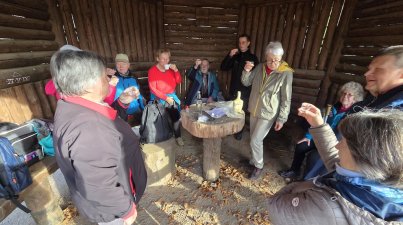 Herbstwanderung-Wein-und-Wald- Guldenzoll-Weg
