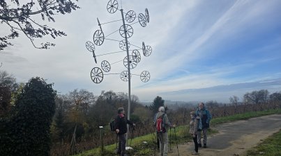 Herbstwanderung-Wein-und-Wald- Guldenzoll-Weg