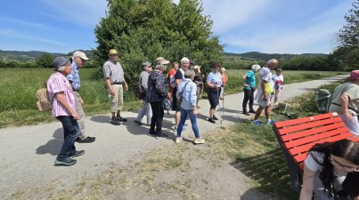 Runde-Bruchsee-Kunst-und-Klangweg