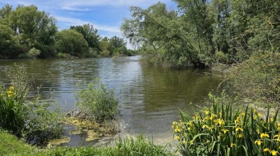 Runde-Bruchsee-Kunst-und-Klangweg