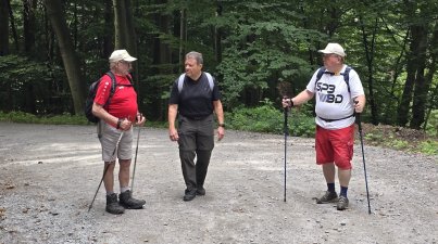 Rundwanderung-Vorderer-Odenwald