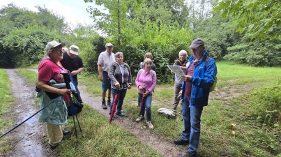 Von-Schönberg-nach-Reichenbach