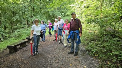 Von-Schönberg-nach-Reichenbach