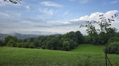Von-Schönberg-nach-Reichenbach