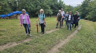 Von-Schönberg-nach-Reichenbach