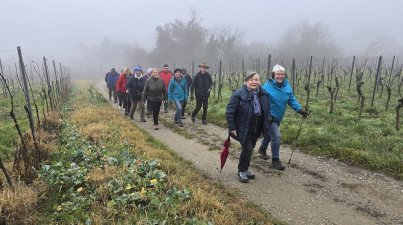 Wanderung- im- Advent