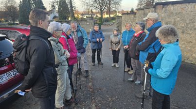 Wanderung-Wein-und-Wald