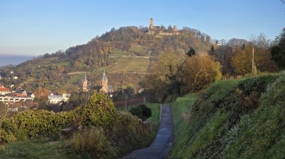 Wanderung-Wein-und-Wald