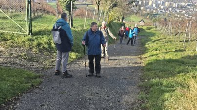 Wanderung-Wein-und-Wald