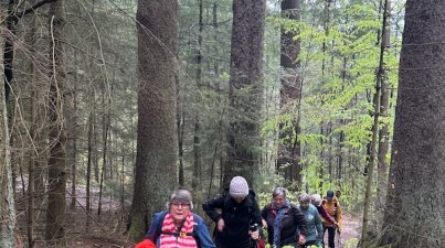 Krimiwanderung
