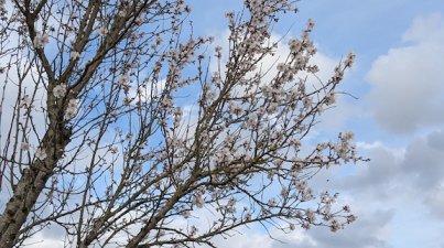 Mit-Ruhe-und-Gemütlichkeit