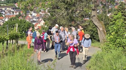 Von-HP-nach-Kirschhausen