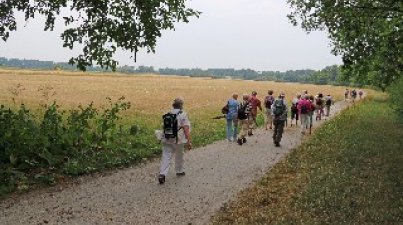 Biedensand Lampertheim