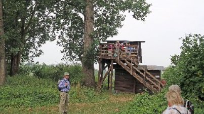 Biedensand Lampertheim