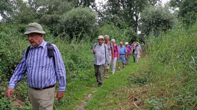 Die Tour endete bei der Hütte des Lampertheimer OWK, wo die Wanderer ihre Mittagspause im Rahmen der "Pappelfest Feier" einnahmen. Willi Völker dankte den Wanderführern für die "naturwissenschaftliche" Wanderung. 