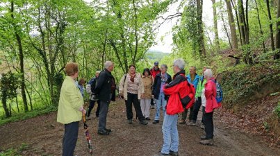 Hügelgrabwanderung 