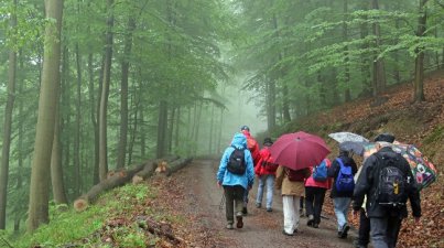 Hügelgrabwanderung 