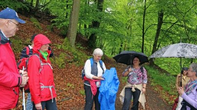 Hügelgrabwanderung 