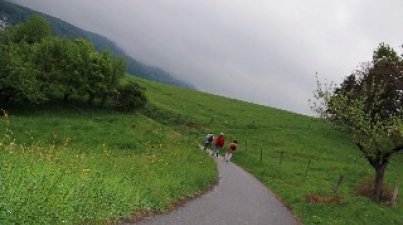 

Blick in die Rheinebene
Die Gerätschaften wie Beile, Äxte, Lanzen- Und Pfeilspitzen entstanden durch Bearbeitung von Feuersteinen. Die wertvollsten Grabbeilagen der Steinzeit-Menschen sind heutzutage in den Museen der Umgebung zu besichtigen.
Unter der Leitung von Margret Volk hatte einen zweite Gruppe auf dem kürzeren Weg den Steinzeitlichen Friedhof auf der Lee erreicht.
Nach den Gräbern führte der Weg bergab: Man kommt an einem alten als Naturdenkmal gekennzeichneten Steinbruch vorbei und streifte die mächtige Arnoldseiche. Bald öffnete sich der Waldpfad und gibt den Bilck auf Weinberge, Rheinebene, Bruchsee und Donnersberg frei.
Über den Essigkammweg und die Kolpingstraße ging es über den Marktplatz Heppenheim und letztendlich nach Bensheim zurück.
