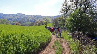 Knodener Höhenweg