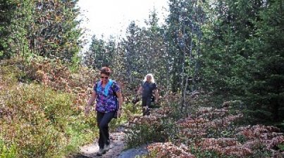 Rund um den Mummelsee