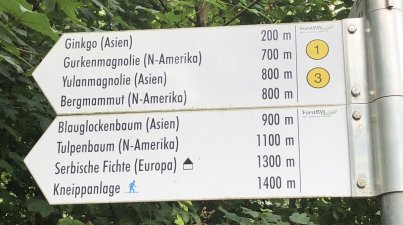 Weinheim - Schlosspark - Hermannshof - Exotenwald