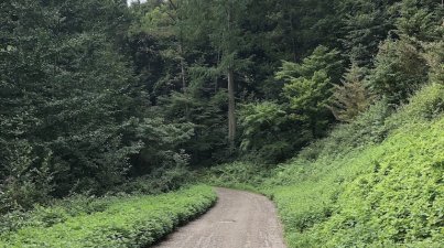 Weinheim - Schlosspark - Hermannshof - Exotenwald