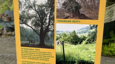 Familienangebot/Heiligenberg