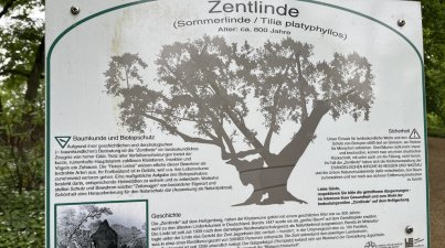 Familienangebot/Heiligenberg