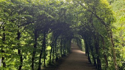 Familienangebot/Heiligenberg