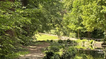 Familienangebot/Heiligenberg