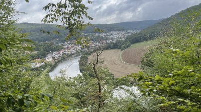 Rund um Neckarsteinach