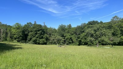 14.5. Tag des Wanderns