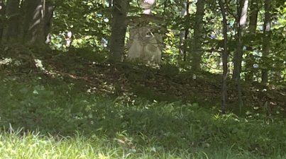 14.5. Tag des Wanderns