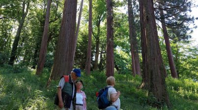 14.5. Tag des Wanderns