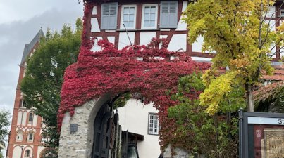 Tagesfahrt nach Limburg