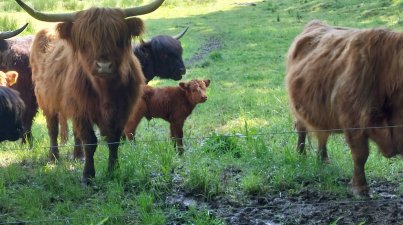 Hatzbachtalwanderung
